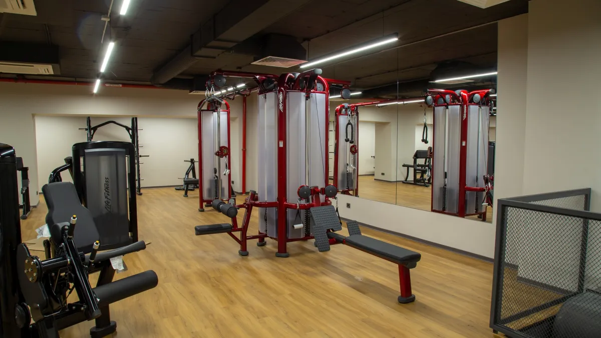 d1323e84-1200.webp